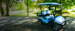 Anna Maria golf cart rental